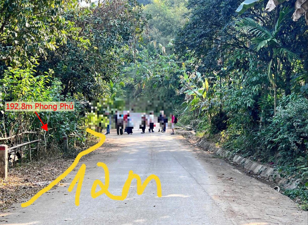 Hình ảnh Bán Lô Đất 192.8m Tại Phong Phú Tân Lạc Bám Đường Bê Tông Ô Tô Vào Tận Đất Dân Cư Đông Đúc Thân Thiện Gần Khu Du Lịch Giá Đầu Tư
