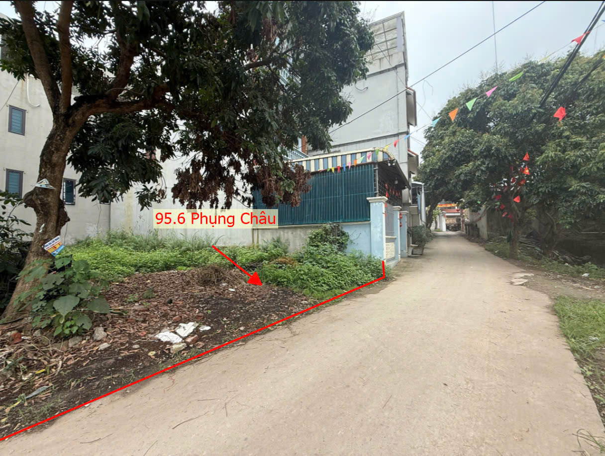 Hình ảnh Bán Thửa Đất Full Thổ Cư 95.6m Tại Phụng Châu Ô Tô Đỗ Tận Đất Sát Trục Kinh Doanh Liên Huyện 