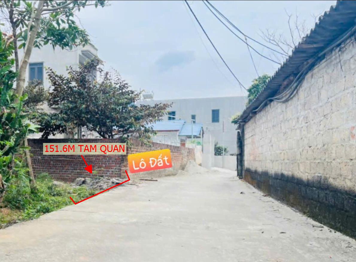 Hình ảnh Bán Lô Đất 151.6m Tại Tam Quan Tam Đảo Bám Đường Bê Tông Ô Tô Vào Tận Đât Dân Cư Đông Đúc Giá Đầu Tư