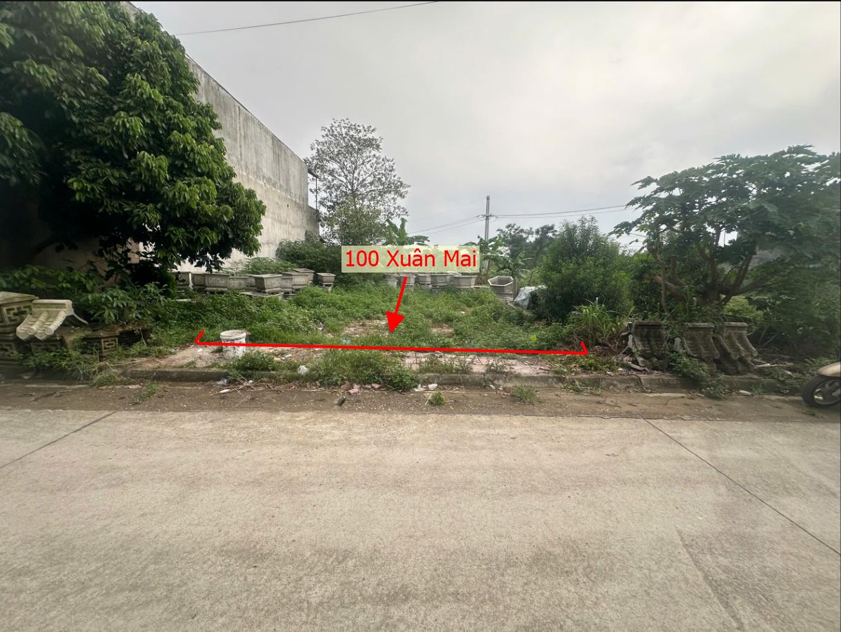 Hình ảnh Bất Động Sản Xuân Mai Bán Đất Đấu Giá Đồng Vai Xuân Mai Đường Ô Tô Tránh Ngay Gần QL21A 