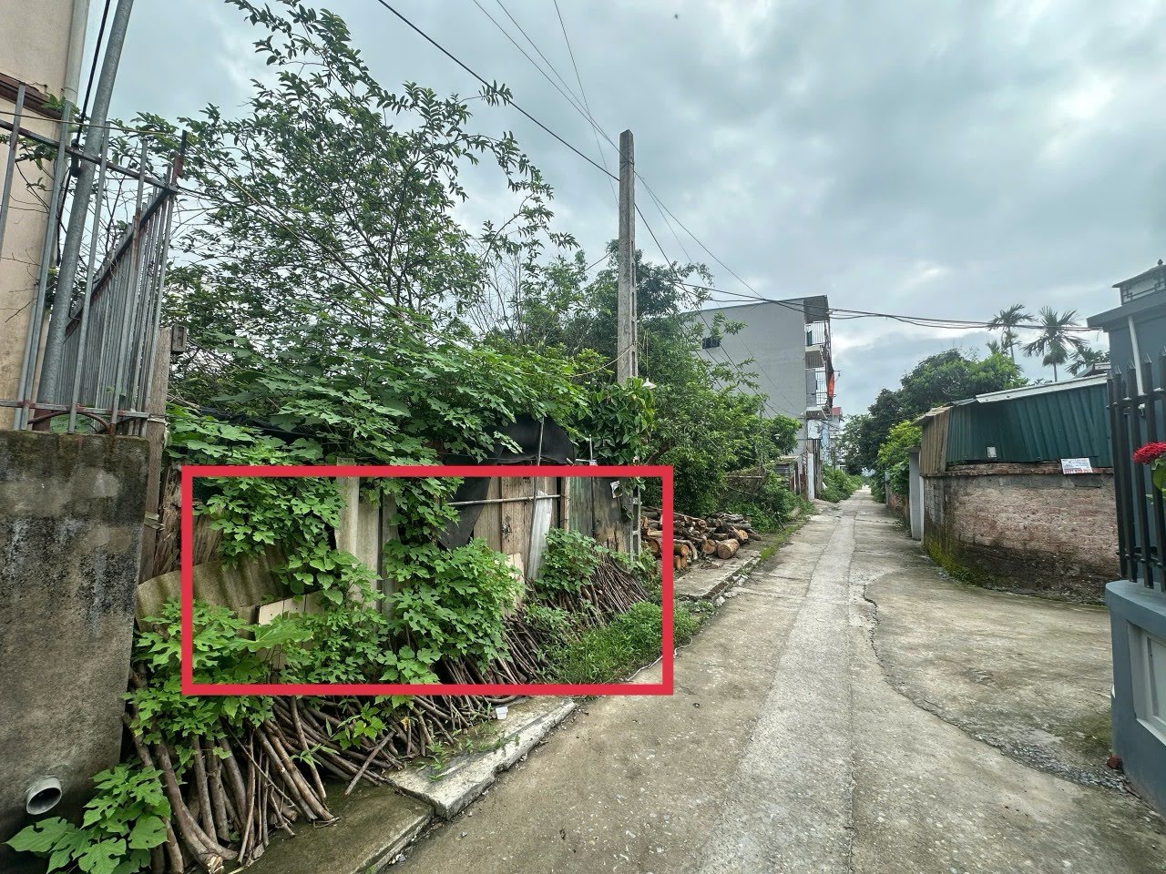 Hình ảnh Bán Thửa Đất 100m Tại Phụng Châu Full Thổ Cư 2 Mặt Tiền Sát Trục Chính Kinh Doanh Liên Huyện