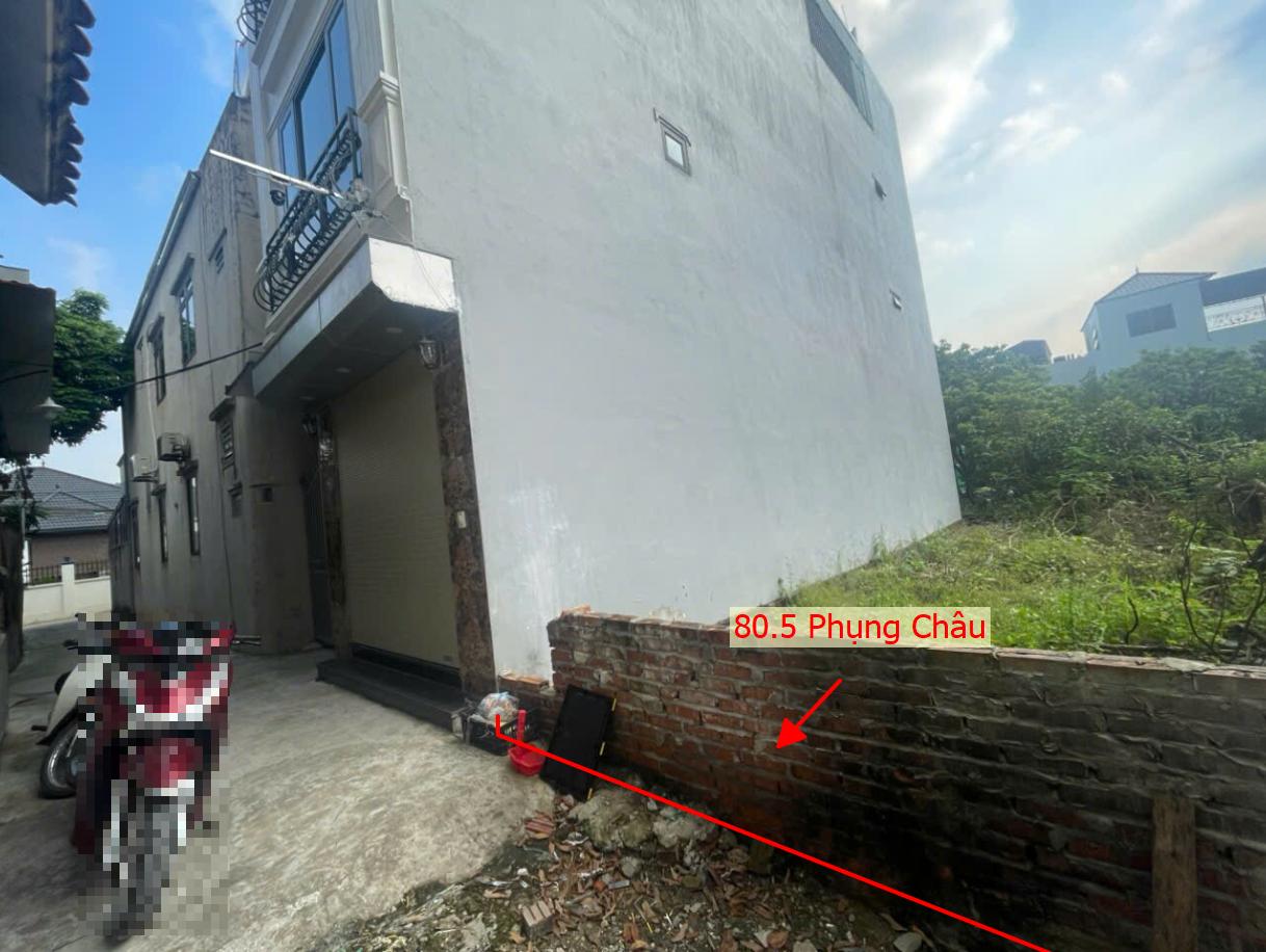 Hình ảnh Bán Đất Full Thổ Cư 80.5m Tại Phụng Châu Sát Trục Chính Kinh Doanh Liên Huyện Giá Chỉ Vài Tỷ