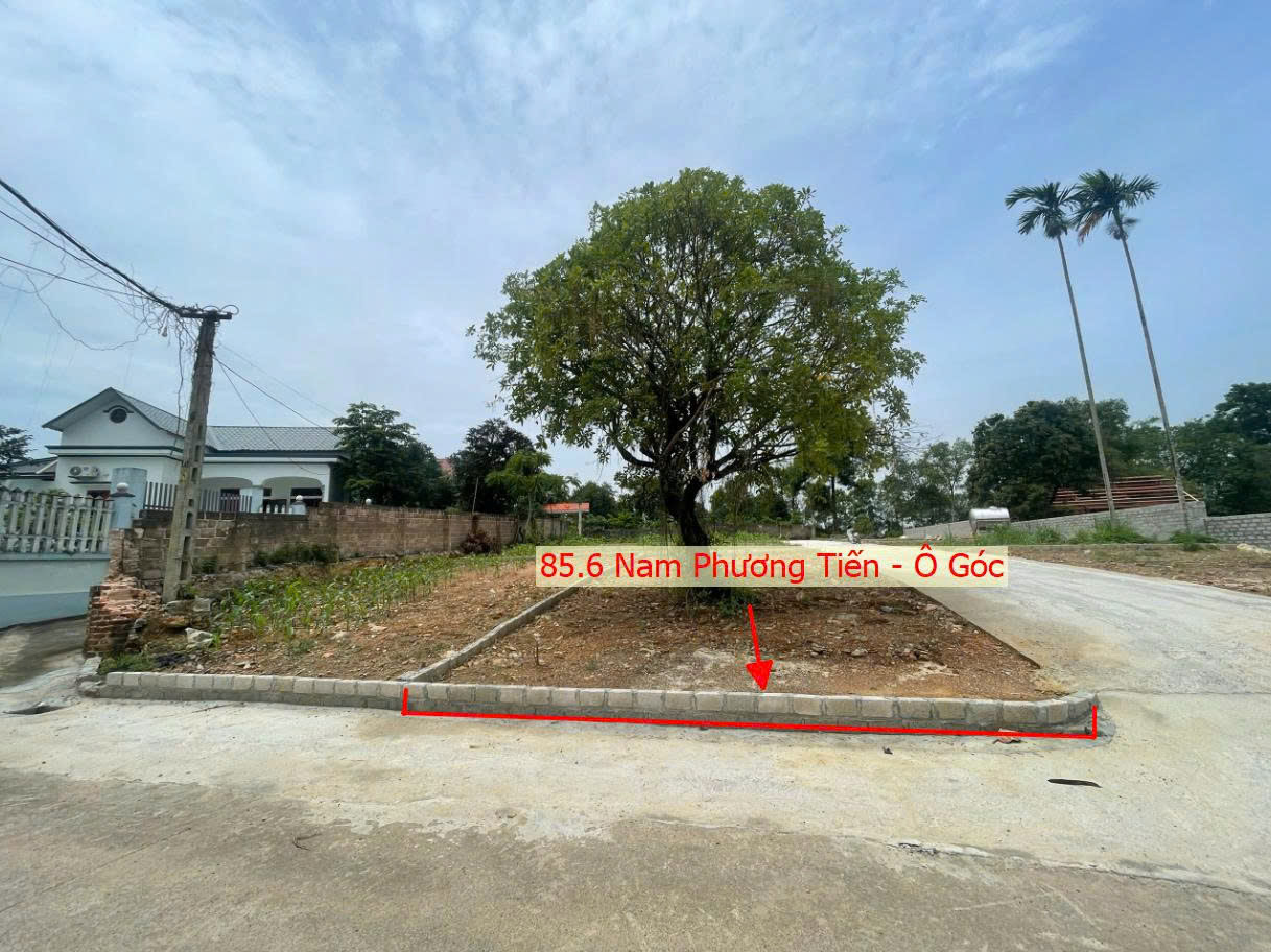 Hình ảnh Bán Đất Phân Lô Xã Nam Phương Tiến Ô Tô Đỗ Tận Đất Sát Trục Kinh Doanh Gần Hồ Văn Sơn Khu Nghỉ Dưỡng Skylake