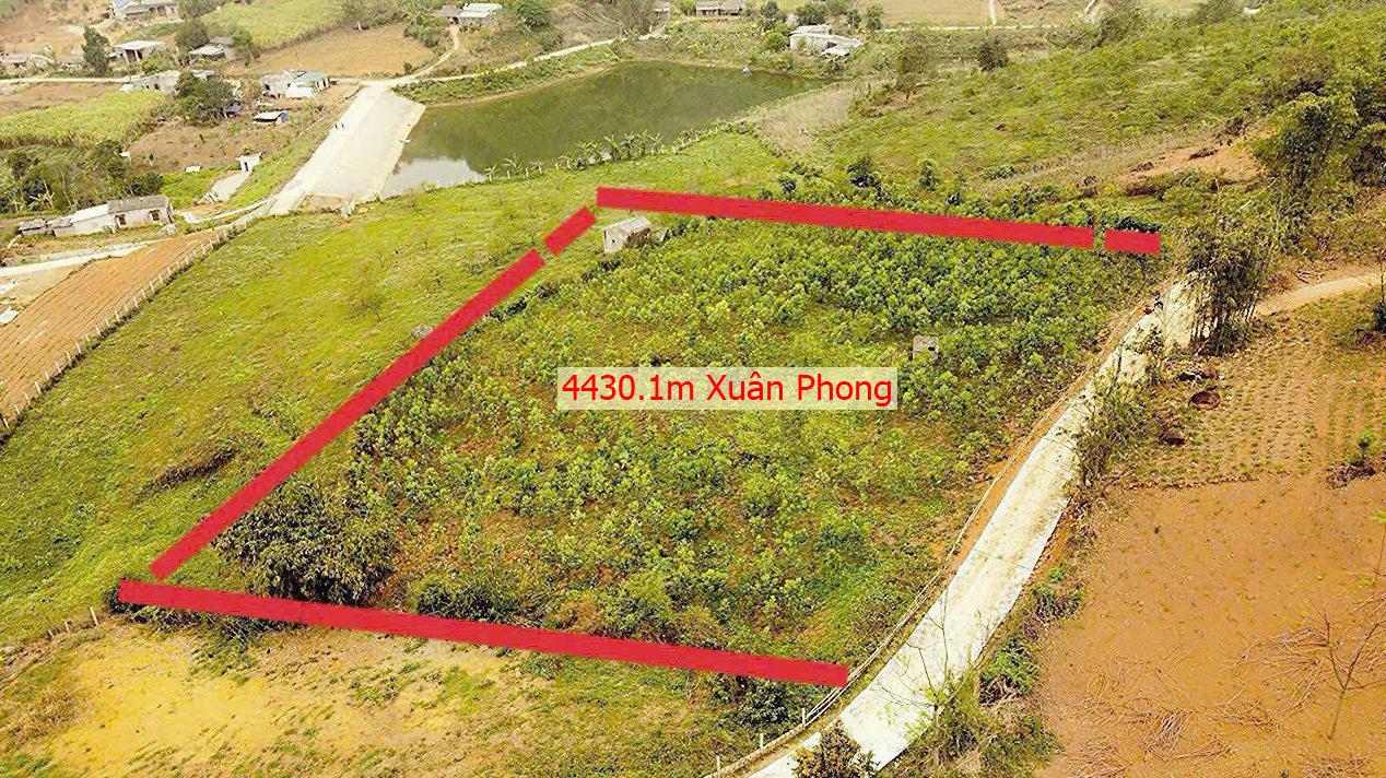 Hình ảnh Bán Lo Đất 4430.1m Tại Cao Phong Bám Đường Bê Tông Ô Tô Vào Tận Đất Phù Hợp Phân Lô View Núi Thoáng Mát Sổ Đỏ Sẵn Sàng Công Chứng Giá Đầu Tư