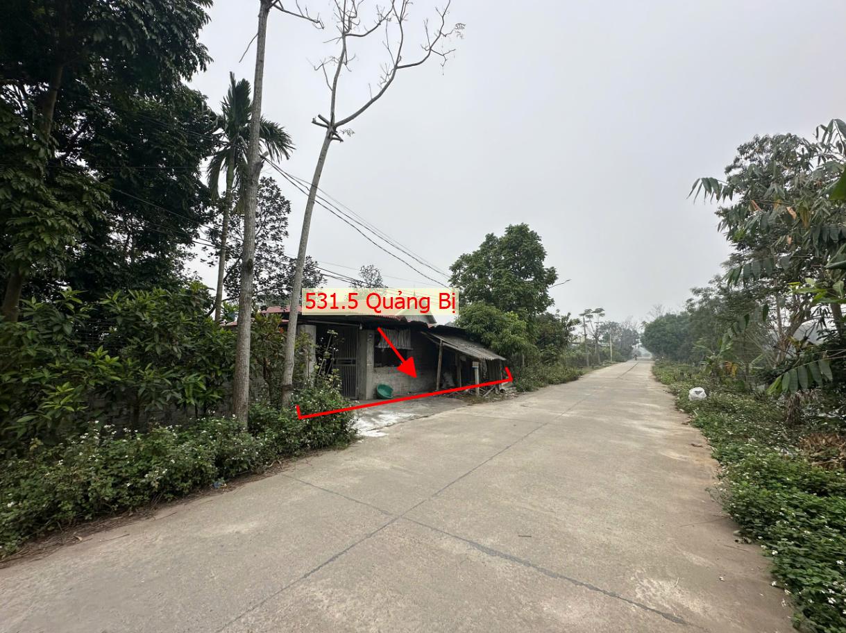 Hình ảnh Bán Thửa Đất 531.5m Tại Quảng Bị Ô Tô Đỗ Tận Đất Sát Trục Chính Kinh Doanh Gần Đường TL419