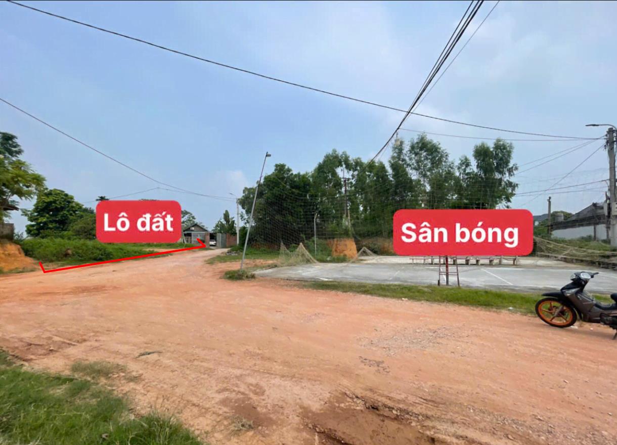 Hình ảnh Bán Lô Đất 207m Tại Thanh Vân Tam Dương Bám Đường Bê Tông Ô Tô Vào Tận Đất Dân Cư Đông Đúc Thân Thiện Gần Sân Bóng Ủy Ban Giá Đầu Tư