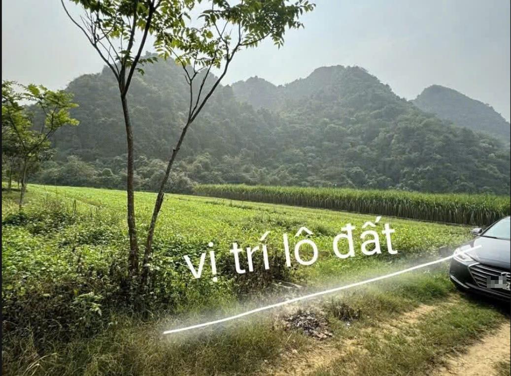 Hình ảnh Bán Lô Đất 1645.3m Tại Phú Thành Lạc Thủy Bám Đường Bê Tông Ô Tô Vào Tận Đất Dân Cư  Gần Nhiều Dự Án Giá Đầu Tư