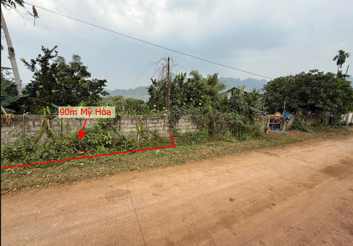 Hình ảnh Bán Lô Đất 90m Tại Mỹ Hòa Tân Lạc Bám Đường Bê Tông Ô Tô Vào Tận Đất Dân Cư Đông  Gần Nhiều Khu Nghỉ Dưỡng Giá Đầu T