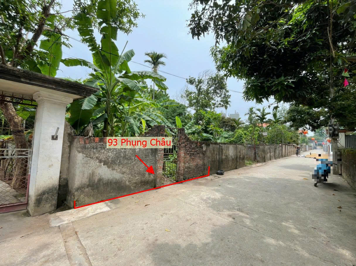 Hình ảnh Bán Đất Full Thổ Cư 93m Tại Phụng Châu Ô Tô Đỗ Tận Đất Sát Trục Chính Kinh Doanh Liên Huyện 