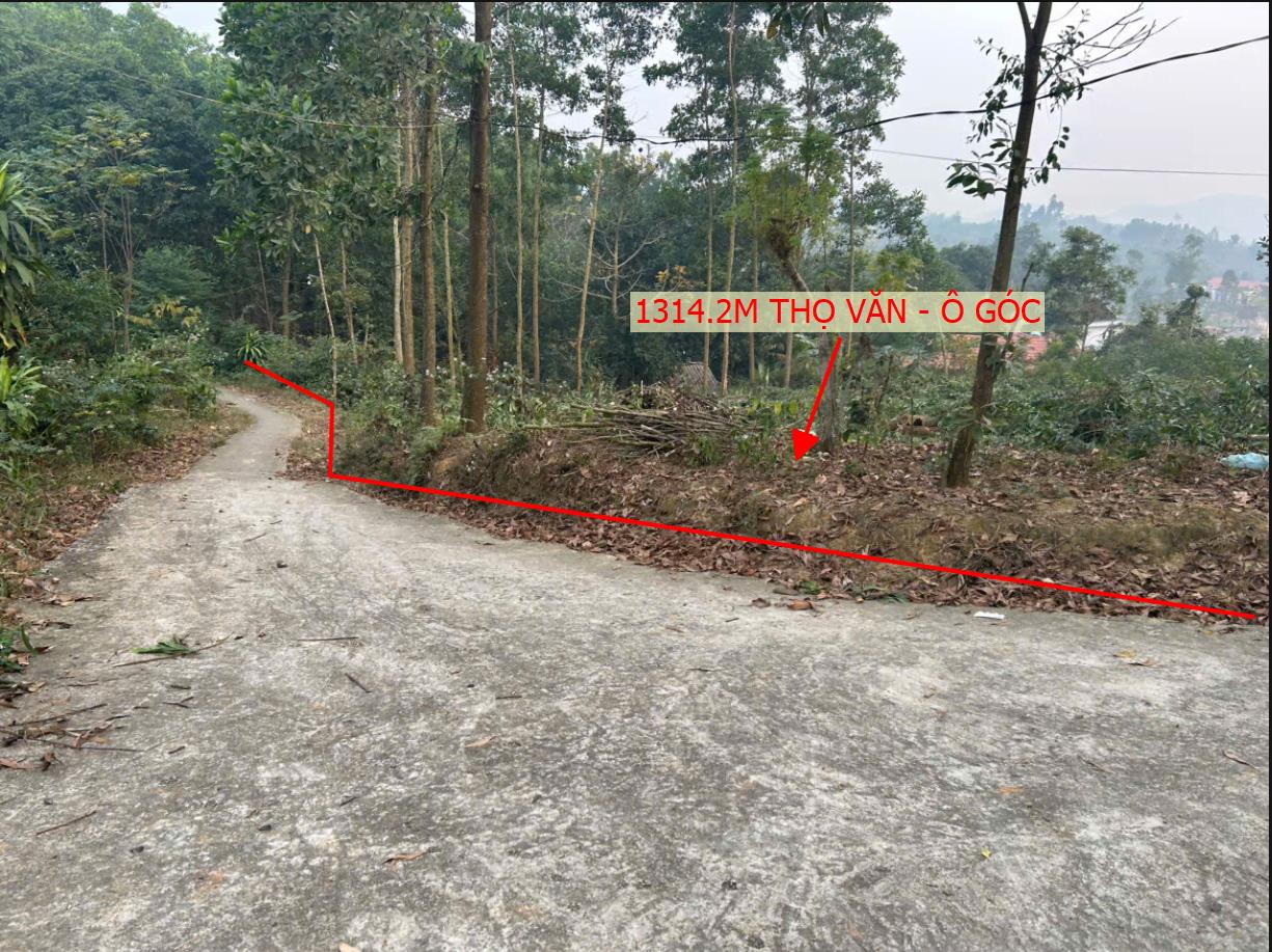 Hình ảnh Bán Lô Đất 1314.2m Tại Thọ Văn Tam Nông Bám Đường Bê Tông Ô Tô Vào Tận Đất Giá Hơn Tỷ
