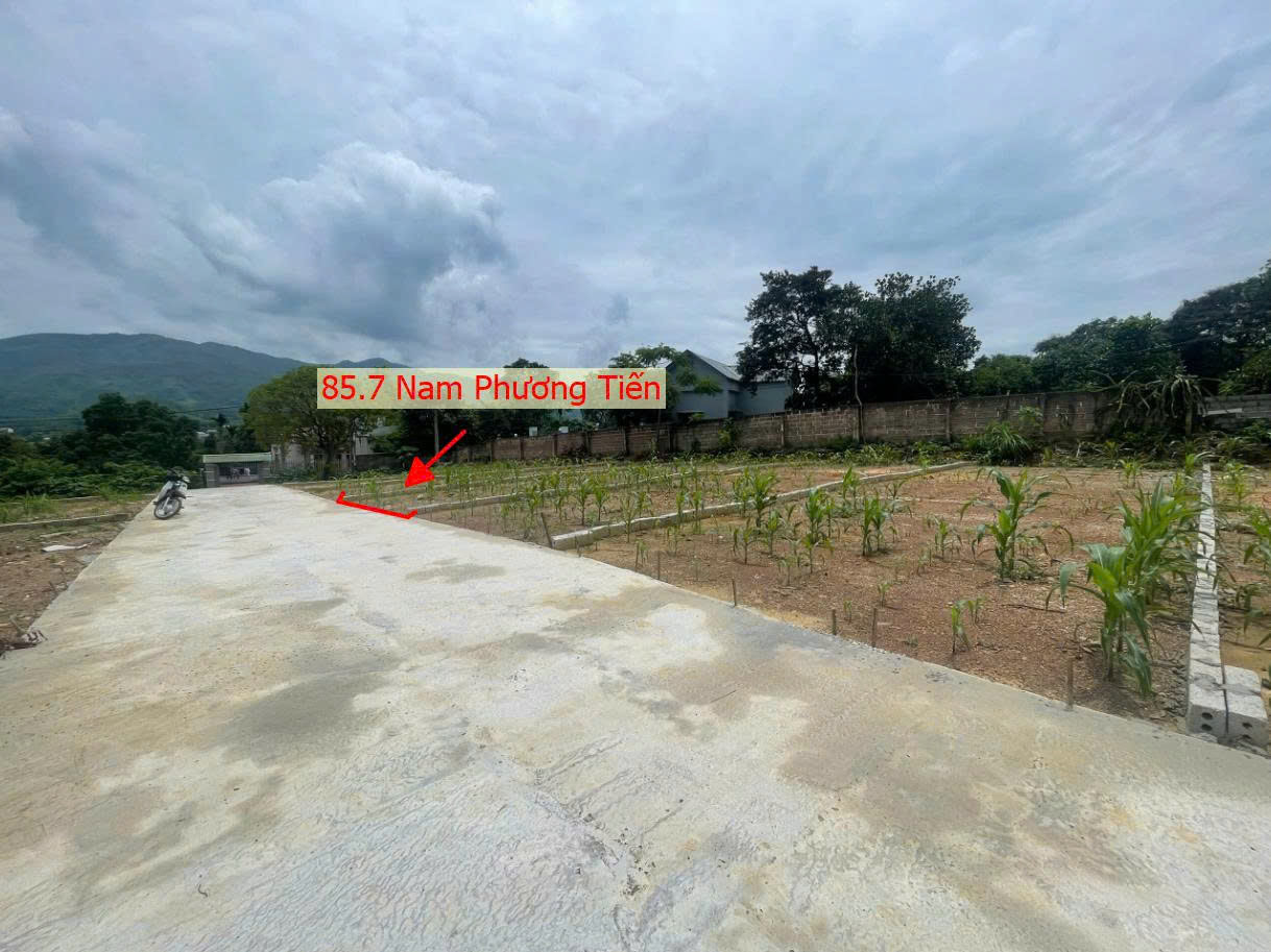 Hình ảnh Bán Đất Phân Lô Xã Nam Phương Tiến Ô Tô Đỗ Tận Đất Sát Trục Kinh Doanh Gần Hồ Văn Sơn Khu Nghỉ Dưỡng Skylake