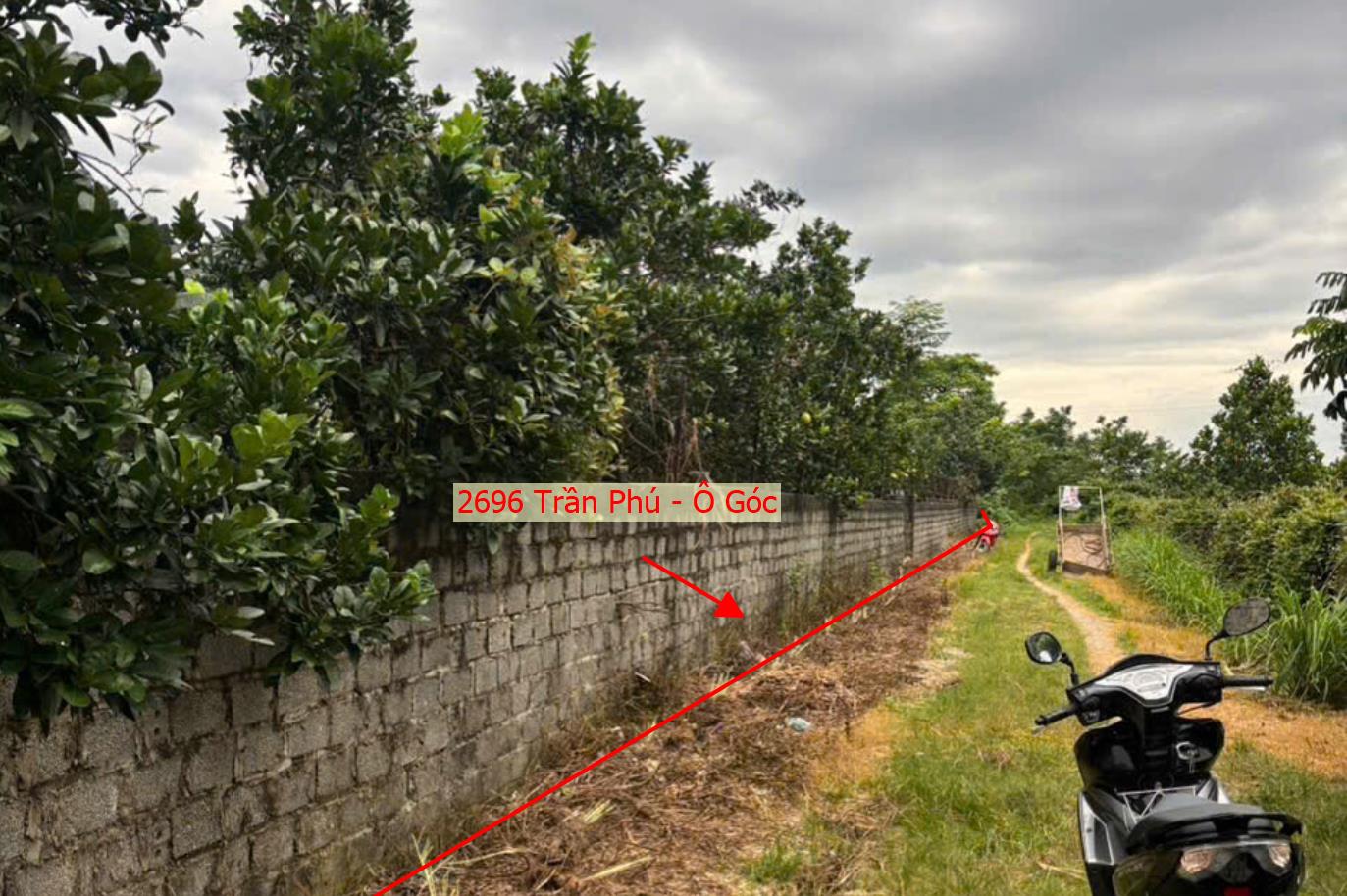 Hình ảnh Bất Động Sản Trần Phú Bán Đất Khu Vực Xã Trần Phú Lô Góc 3 Mặt Tiền Gần Trục Chính Kinh Doanh Liên Xã 