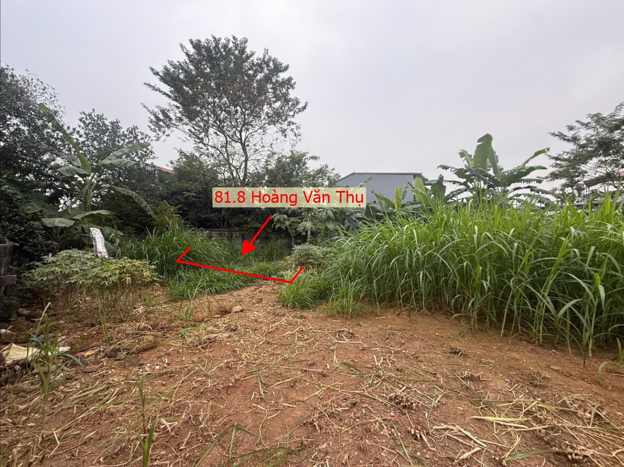 Hình ảnh Bán Đất Phân Lô Hoàng Văn Thụ Sát Trục Chính Kinh Doanh Liên Xã Giá Chỉ Hơn Tỷ - Đất Phân Lô Chương Mỹ