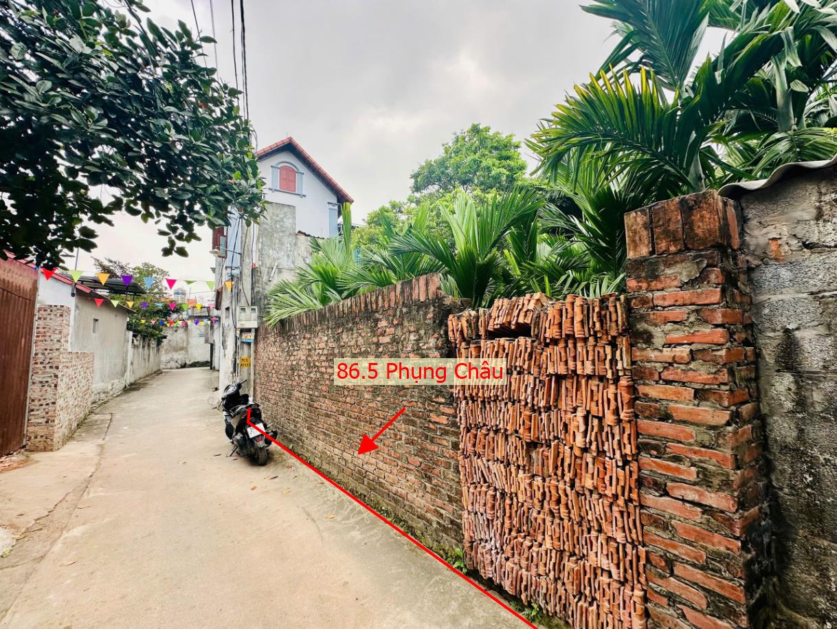 Hình ảnh Bán Thửa Đất 86.5m Tại Phụng Châu Full Thổ Cư Đường Thông Ô Tô Gần Trục Kinh Doanh Liên Huyện