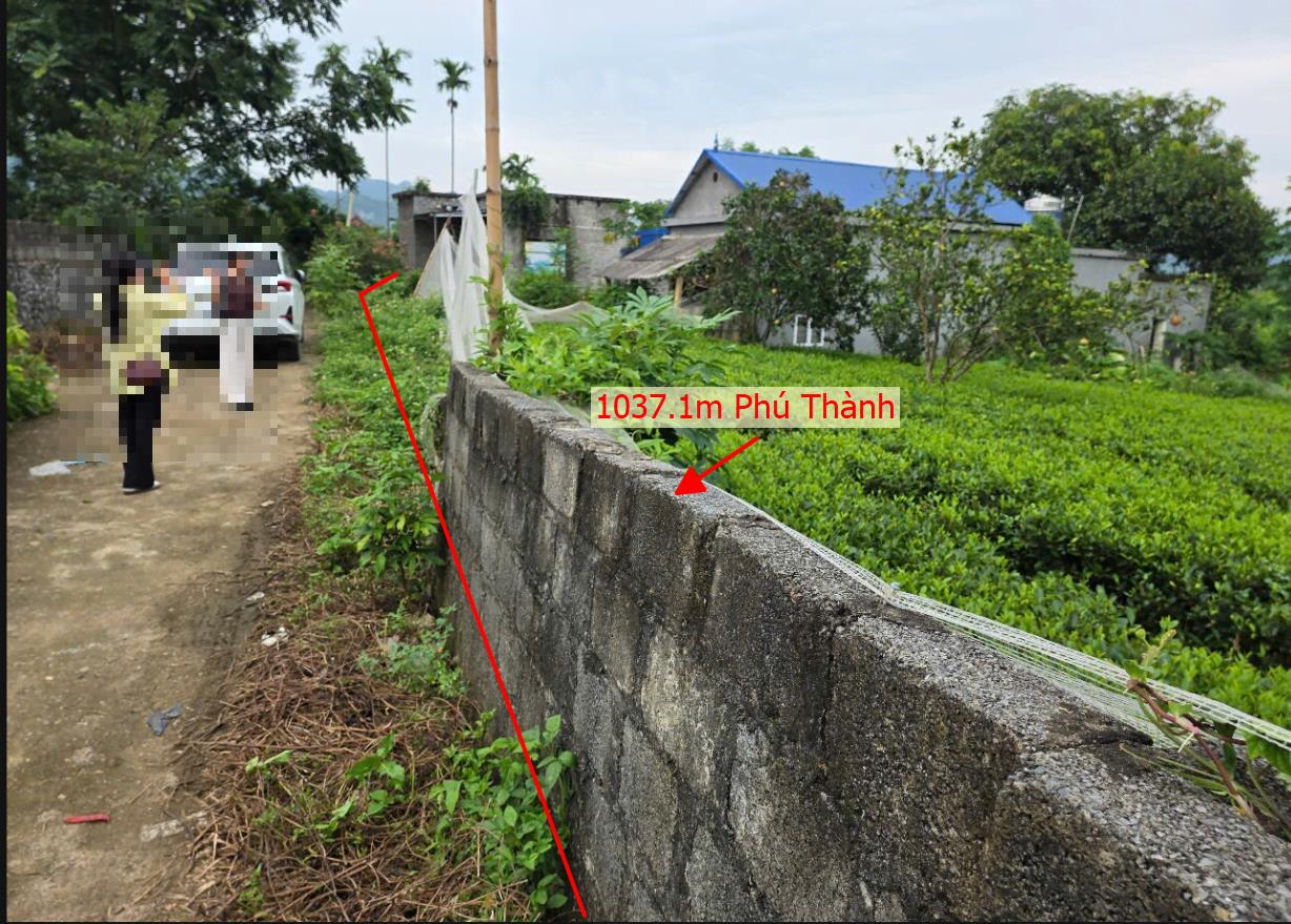 Hình ảnh Bán Lô Đất 1037.1m Tại Phú Thành Lạc Thủy Bám Đường Bê Tông Ô Tô Vào Tận Đất Dân Cư Đông Đúc Thân Thiện Giá Đầu Tư