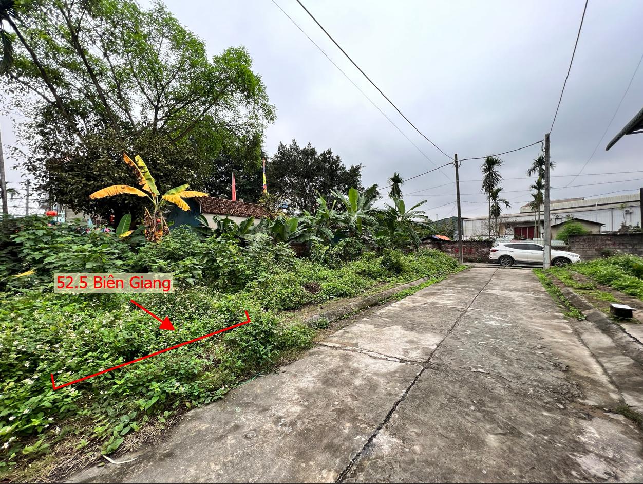 Hình ảnh Đất Đấu Giá Phúc Tiến Biên Gianh Sát Trục Kinh Doanh Gần QL6A , Cầu Mai Lĩnh Đang Mở Rộng