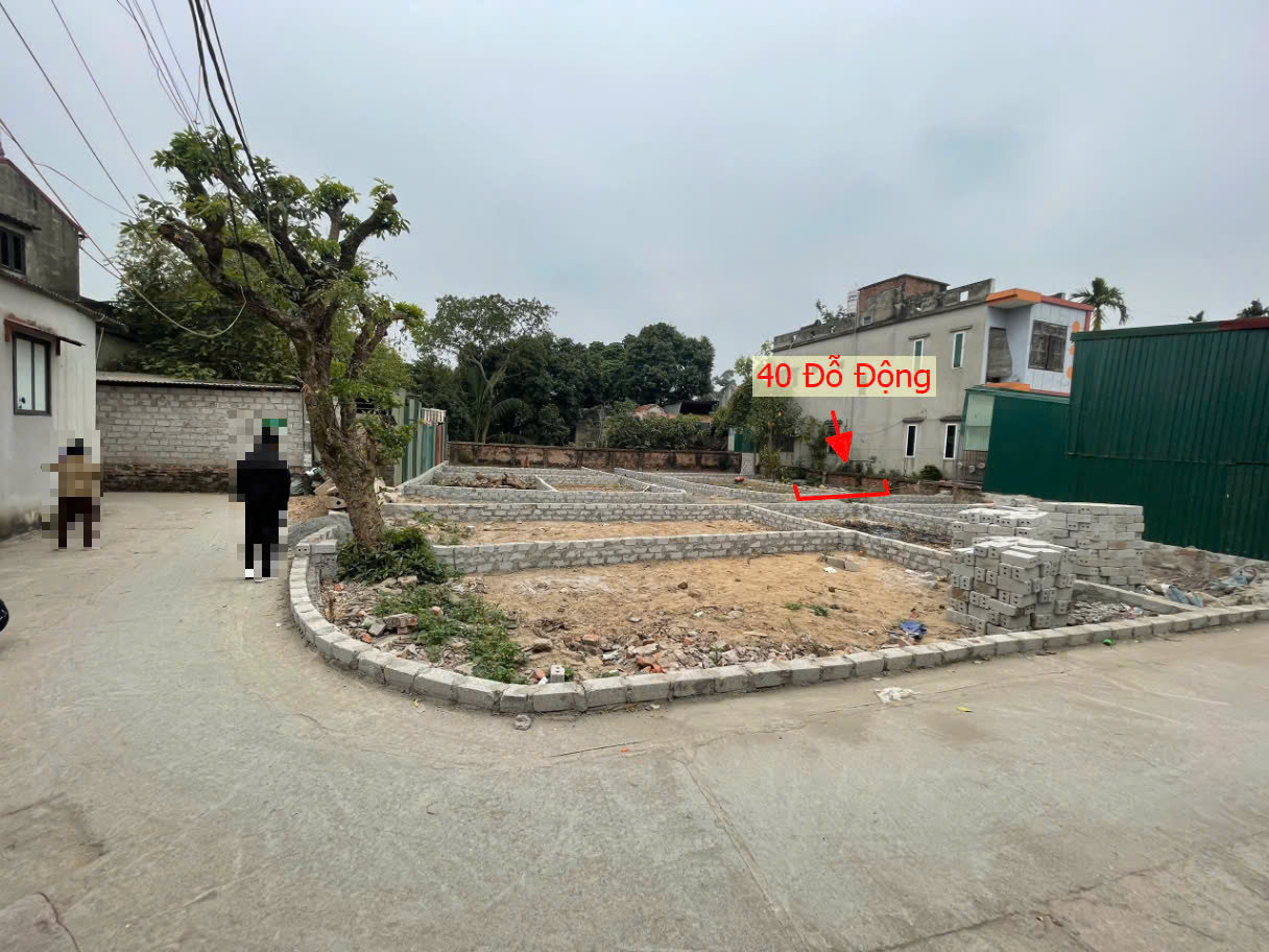 Hình ảnh Đất Phân Lô Xã Đỗ Động Sát Trục Kinh Doanh Liên Xã Ngay Trung Tâm Xã Đỗ Động Giá Nhỉnh Tỷ 