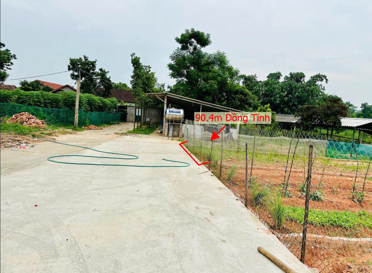 Hình ảnh Bán Lô Đất 90.4m Tại Đồng Tĩnh Tam Dương Bám Đường Bê Tông Ô Tô Vào Tận Đất Dân Cư Đông Đúc Thân Thiện Gần Chợ Trường Học Ủy Ban Giá Đầu Tư