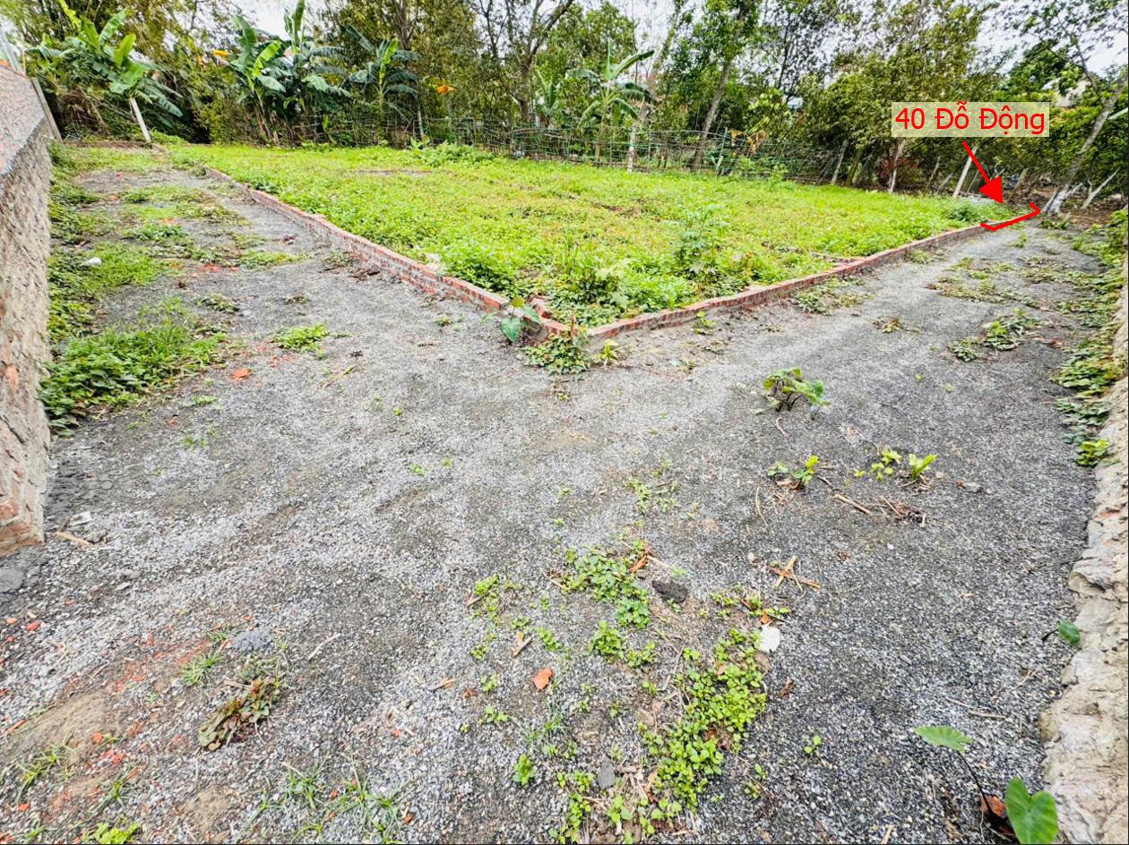 Hình ảnh Bán Đất Phân Lô Đỗ Động 40m Gần Trục Chính Kinh Doanh Liên Xã Cách QL21B Chỉ Hơn 1km