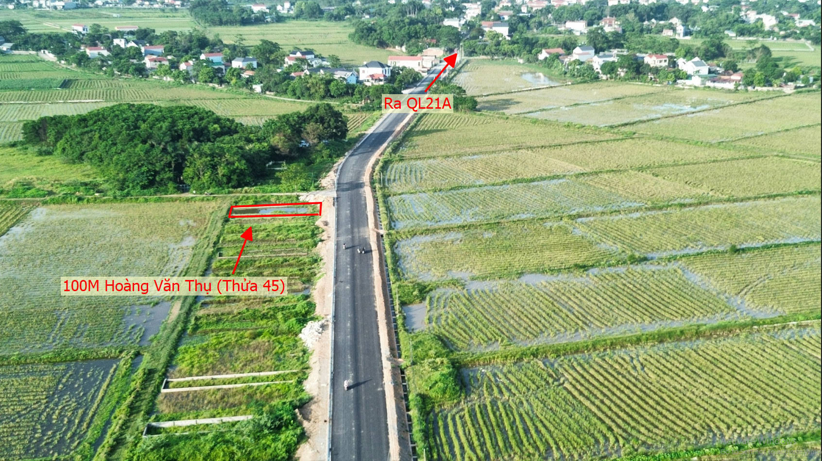 Hình ảnh Bán Đất Đấu Giá Full Thổ Cư Mặt Đường Kinh Doanh Liên Xã Tại Hoàng Văn Thụ 