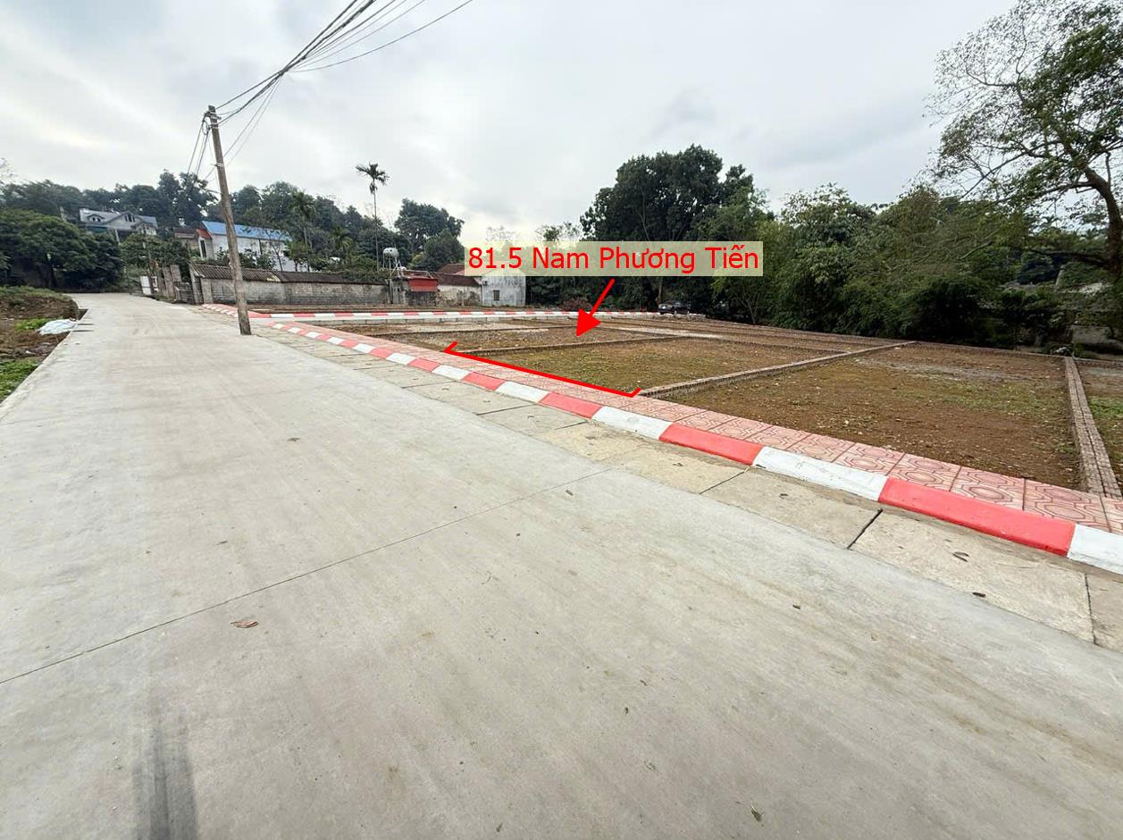 Hình ảnh Đất Phân Lô Nam Phương Tiến Ô Tô Đỗ Tận Đất Sát Trục Chính Kinh Doanh Ngay Gần Hồ Miễu Thoáng Mát