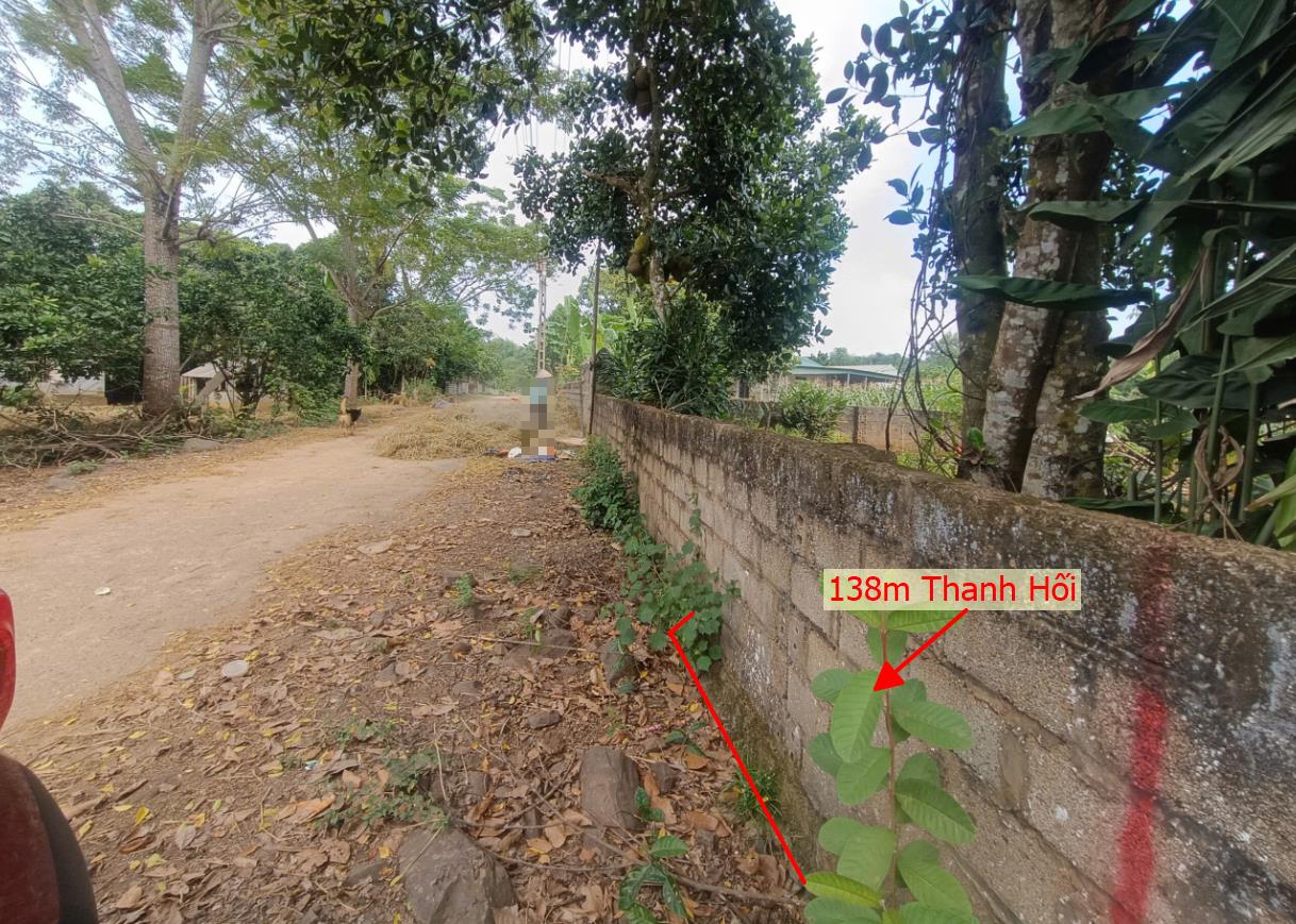 Hình ảnh Bán Lô Đất 138m Tại Thanh Hối Tân Lạc Bám Đường Bê Tông Ô Tô Vào Tận Đất Dân Cư Đông Đúc Thân Thiện Gần Chợ Trường Học Ủy Ban Giá Đầu Tư