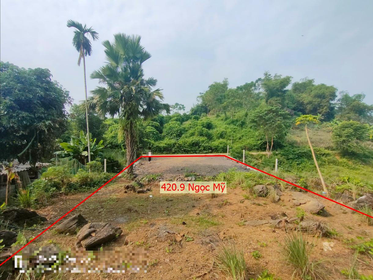 Hình ảnh Bán Thửa Đất 420.9m Tại Ngọc Mỹ Ô Tô Đỗ Tận Đất Sát Trục Kinh Doanh Giá Chỉ Vài Trăm Triệu