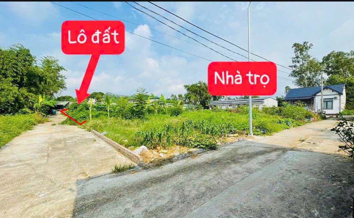 Hình ảnh Bán Lô Đất 90.1m Tại Hương Sơn Bình Xuyên Bám Đường Bê Tông Ô Tô Vào Tận Đất Dân Cư Đông Đúc Thân Thiện Gần Trường Học Ủy Ban Giá Đầu Tư