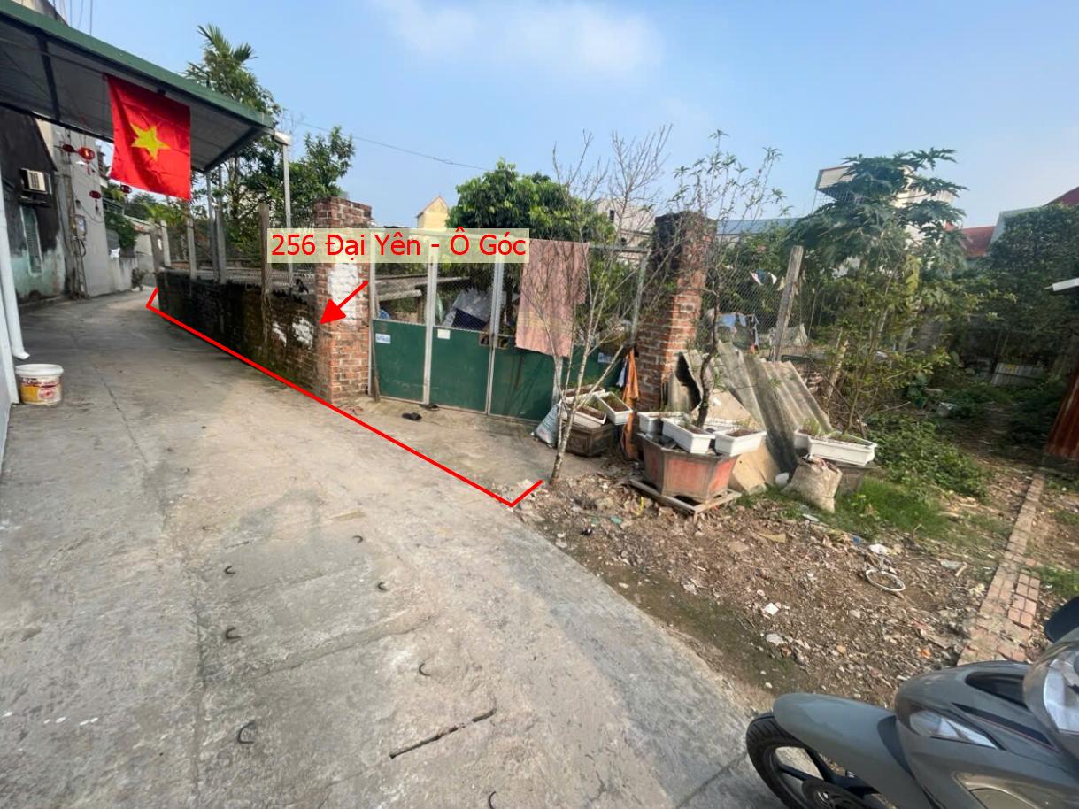 Hình ảnh Bán Thửa Đất 256m Tại Đại Yên Lô Góc 2 Mặt Thoáng Ô Tô Đỗ Tận Đất Sát Đường TL419