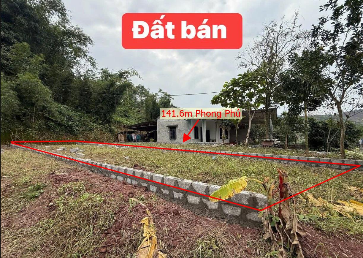 Hình ảnh Bán Lô Đất 141.6m Tại Tân Lạc Bám Đường Bê Tông Ô  Tô VÀo Tận Đất Dân Cư Đông View Thoáng Mát  Gần Nhiều Khu Nghỉ Dưỡng Cách Ql6 Chỉ 00m Giá Đầu Tư