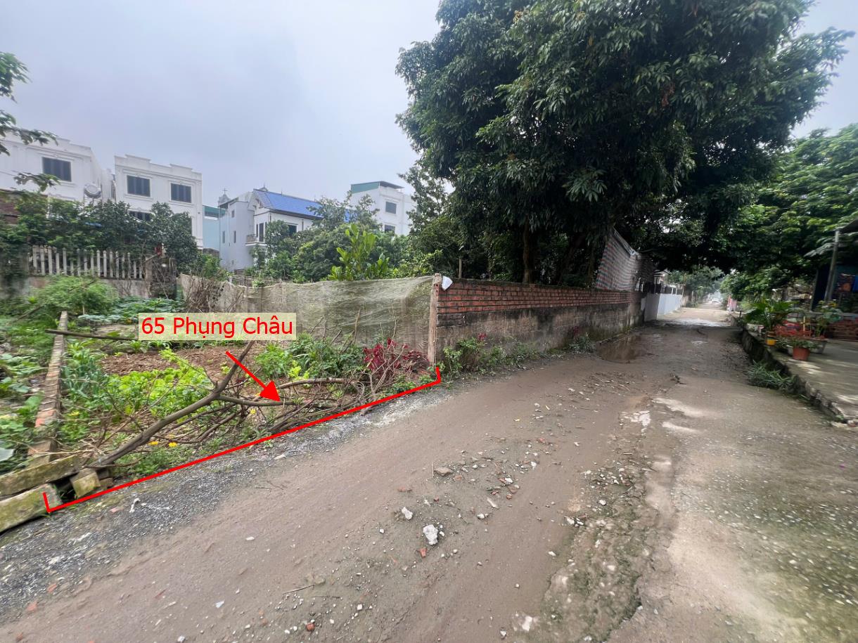 Hình ảnh Bán Thửa Đất 61m Tại Phụng Châu Chương Mỹ Ô Tô Đỗ Tận Đất Sát Trục Liên Huyện 