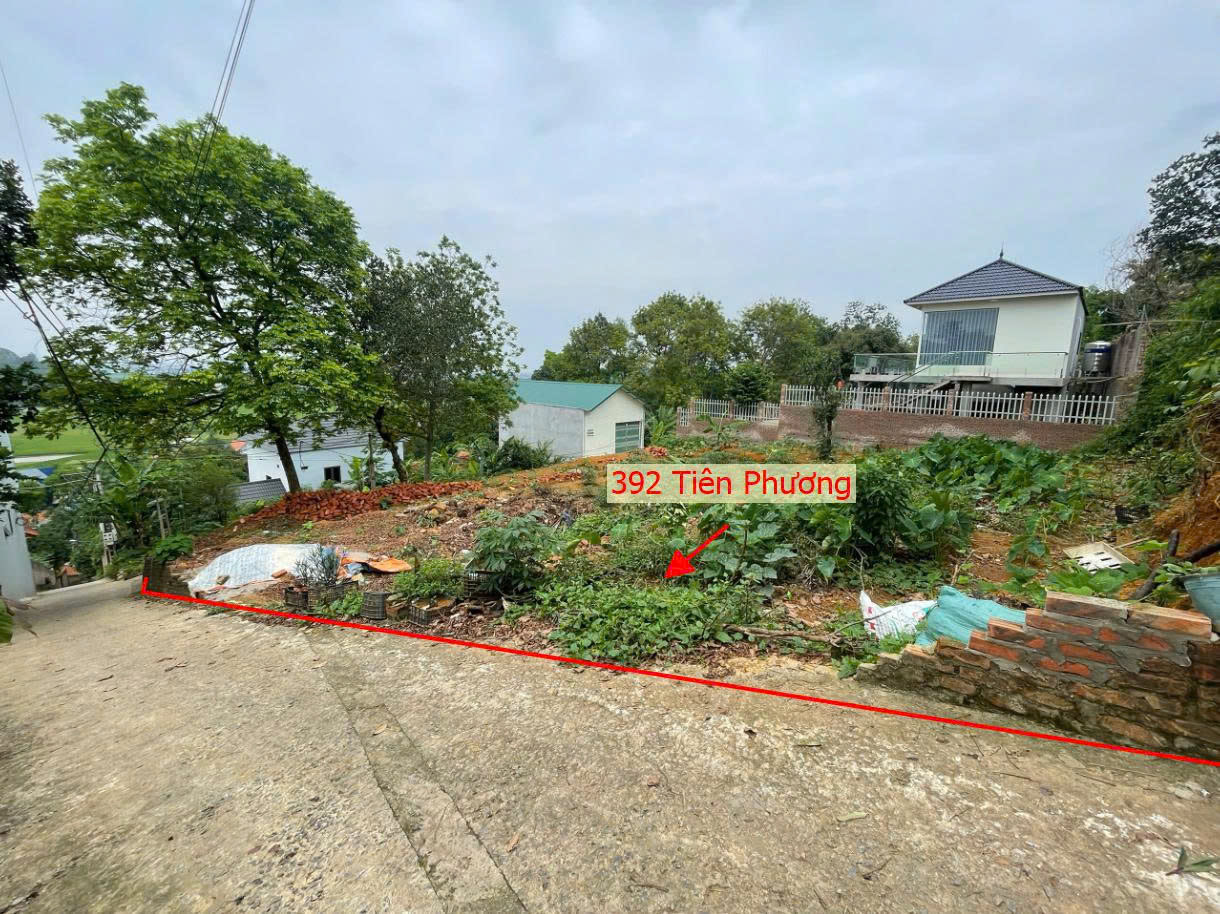 Hình ảnh Bán Thửa Đất 392m Tại Tiên Phương Chương Mỹ Gần Mặt Đường Kinh Doanh TL419 