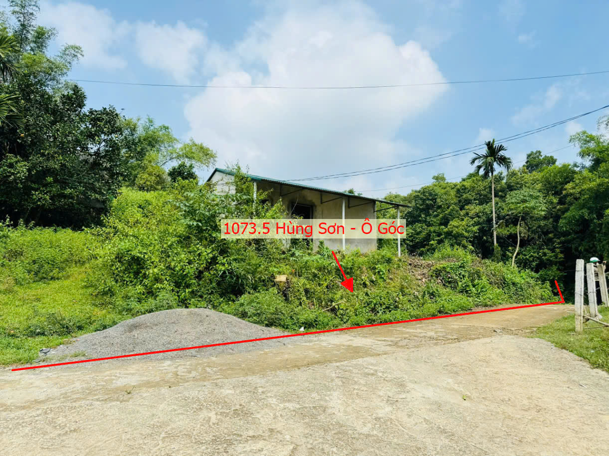 Hình ảnh Bán Lô Góc 2 Mặt Tiền Ô Tô Đỗ Tận Đất Sát Mặt Đường Kinh Doanh Ngay Trung Tâm Xã Hùng Sơn