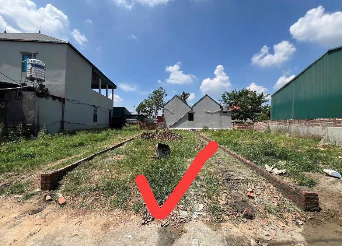 Hình ảnh Bán Lô Đất 110.9m Tại Tam Dương Bám Đường Bê Tông Ô Tô Vào Tận Đất Dân Cư Đông Đúc Thân Thiện Gần Chợ Trường Học Ủy Ban Giá Đầu Tư