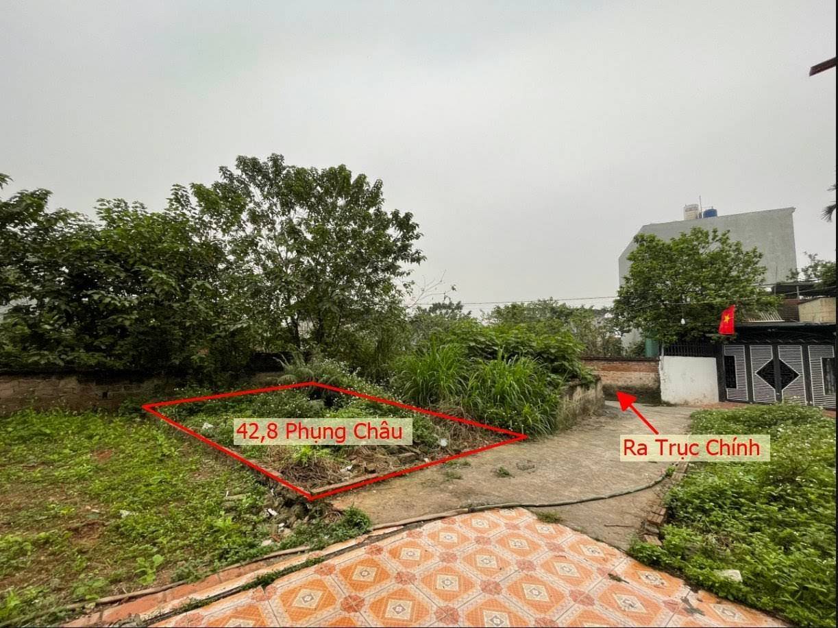 Hình ảnh Nhỉnh Tỷ Sở Hữu Lô Đất Ngay Gần Trung Tâm Xã Phụng Châu Chương Mỹ 