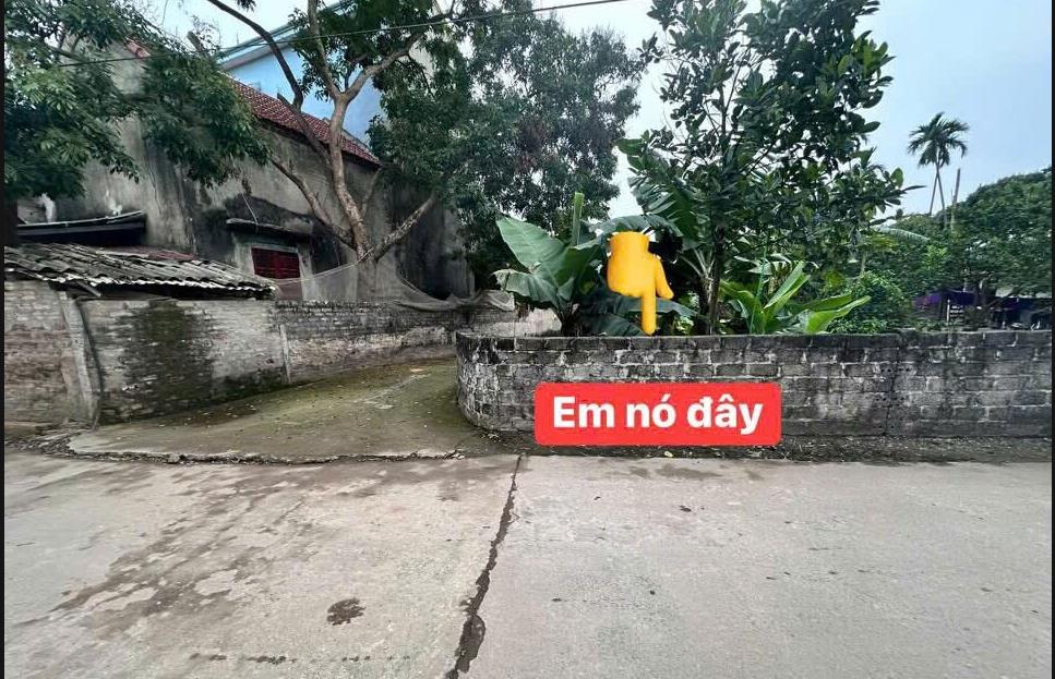 Hình ảnh Bán Lô Đất 95m Tại Đức Hợp Kim Động Bám Đường Bê Tông Ô Tô Vào Tận Đất Dân Cư Đông Đúc Thân Thiện Giá Đầu Tư