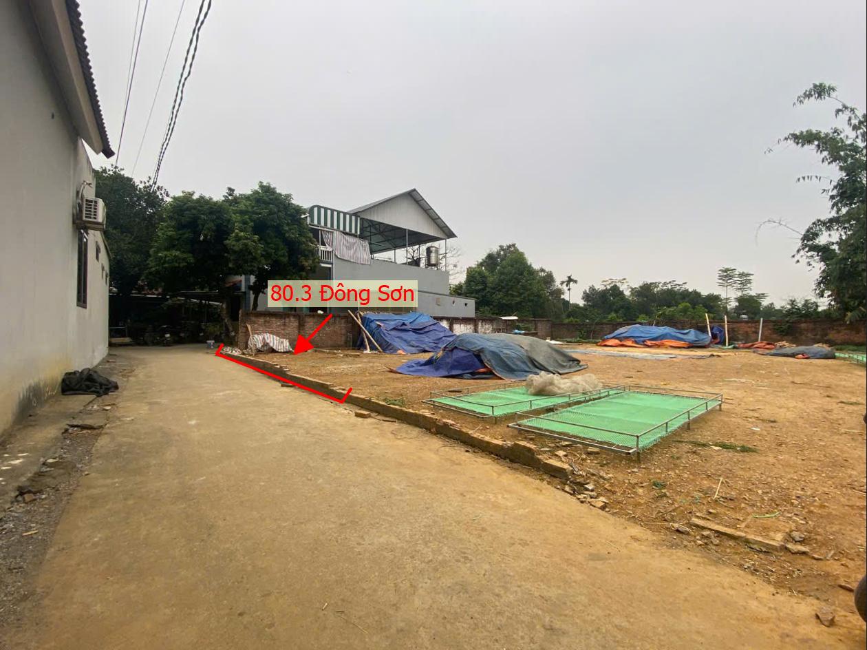 Hình ảnh Bán Đất Phân Lô 81.9m Tại Đông Sơn Ô Tô Đỗ Tận Đất Sát Trục Chính Kinh Doanh Gần QL6A Đang Mở Rộng