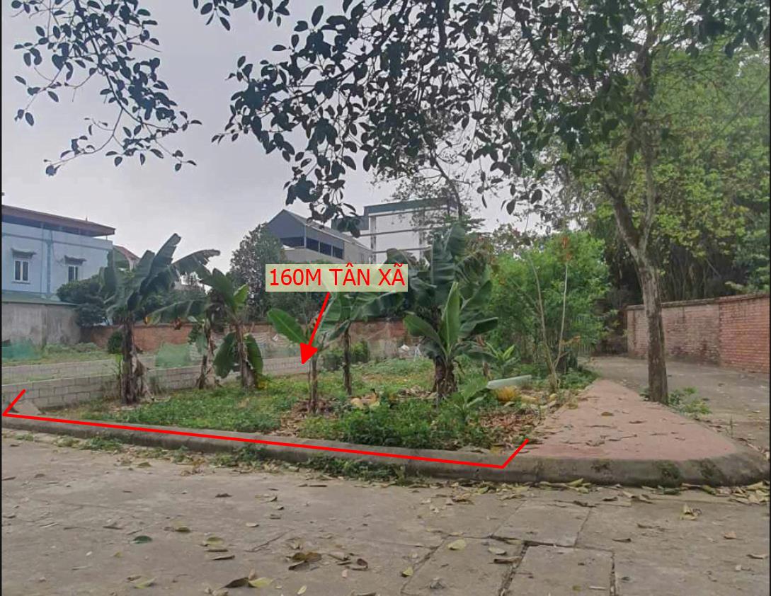 Hình ảnh Bán Lô Đất 160m Tại Tân Xã Thạch Thất Bám Đường Bê Tông Ô Tô vào Tận Đất Dân Cư Đông Đúc Giá Đầu Tư