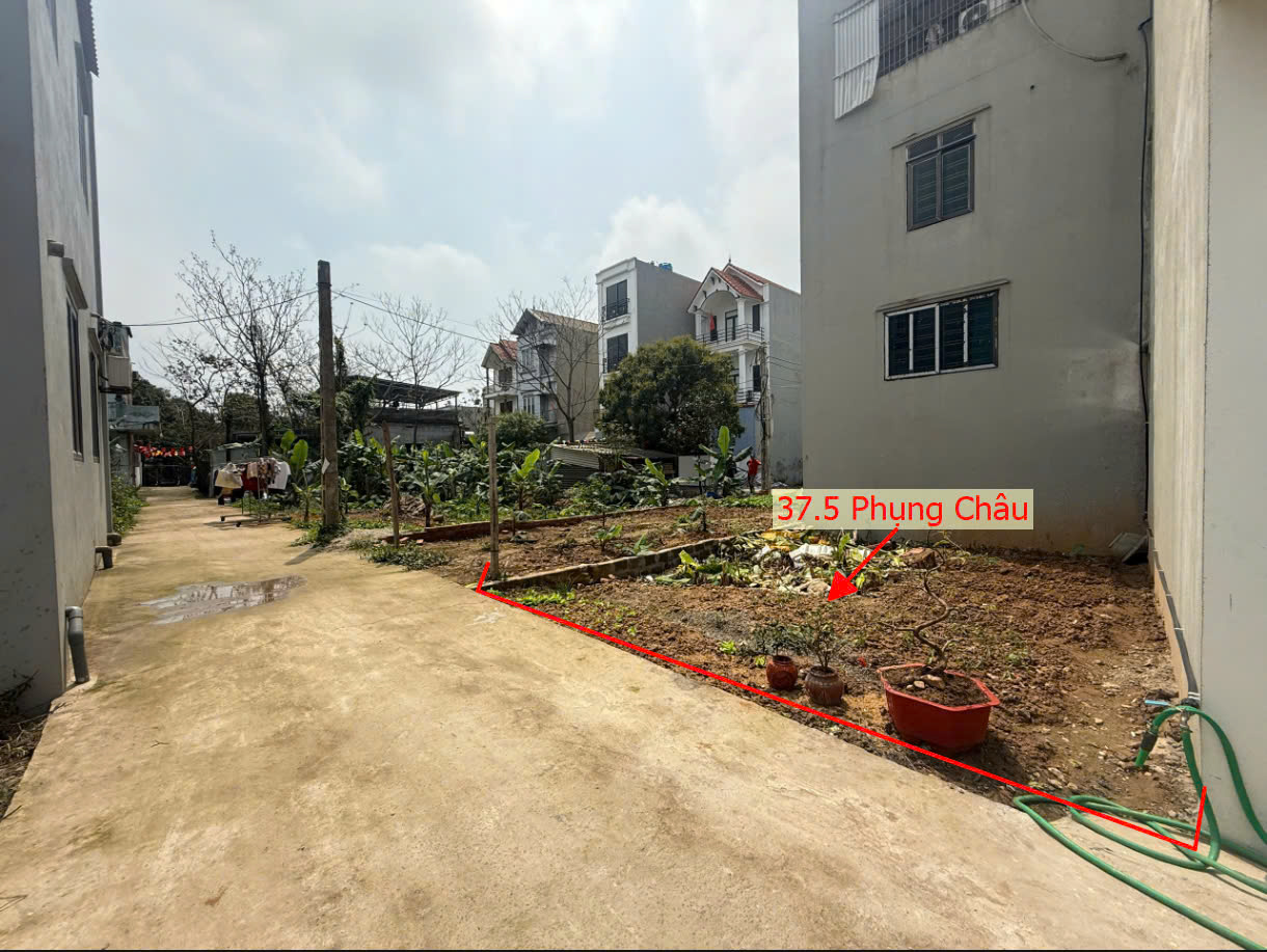 Hình ảnh Bán Thửa Đất 37.5m Tại Phụng Châu Chương Mỹ Gần Trục Kinh Doanh Liên Huyện Giá Nhỉnh Tỷ 