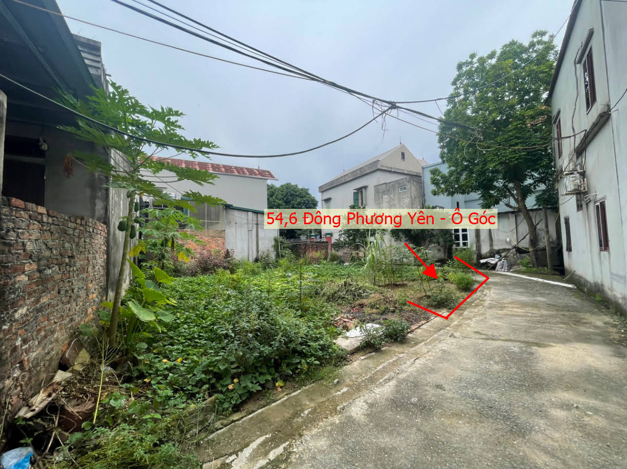 Hình ảnh Bán Lô Góc 2 Mặt Tiền Full Thổ Cư Ô Tô Vào Tận Đất Ngay Trung Tâm Xã Đông Phương Yên 