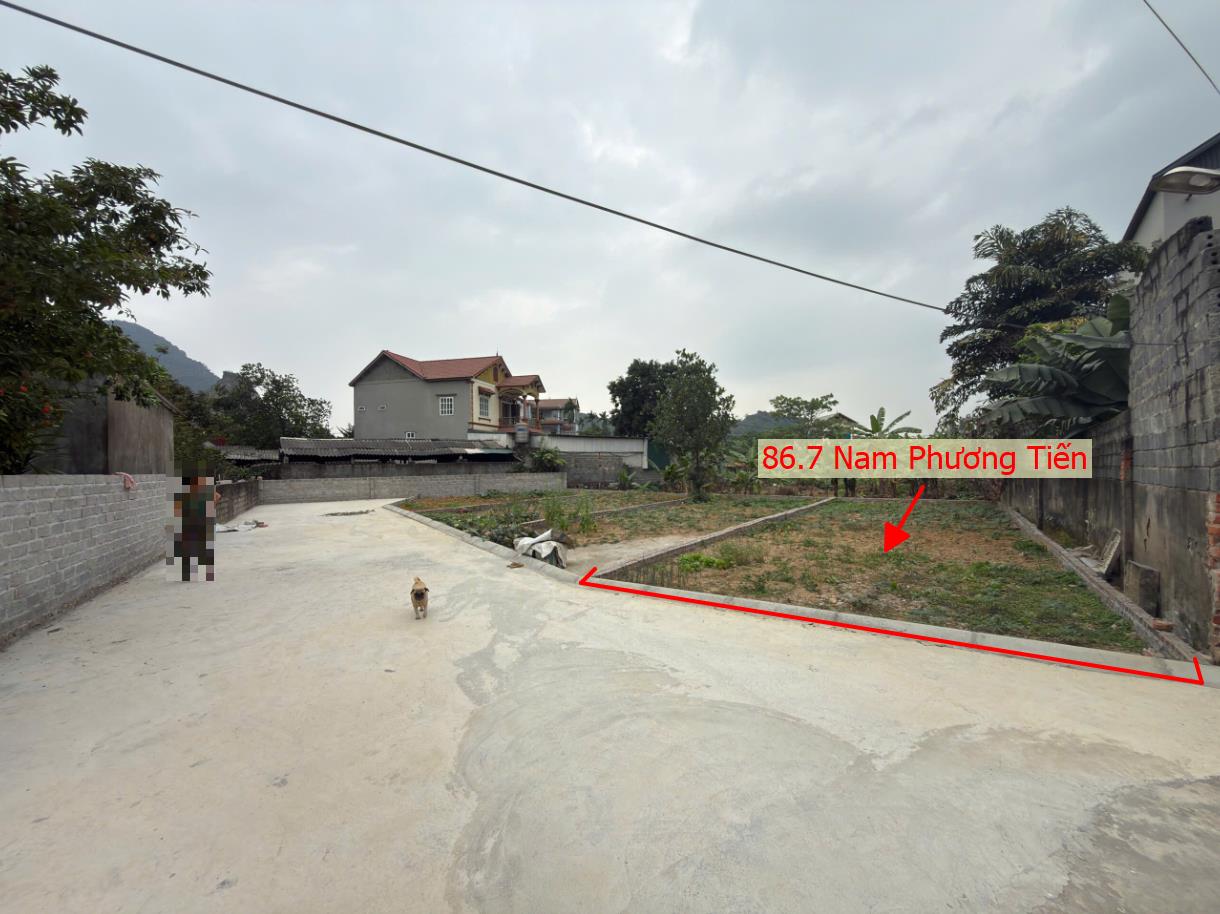 Hình ảnh Bán Đất Phân Lô Nam Phương Tiến Ô Tô Đỗ Tận Đất Ngay Sát Chợ Cá Gần Mặt Đường QL21A 
