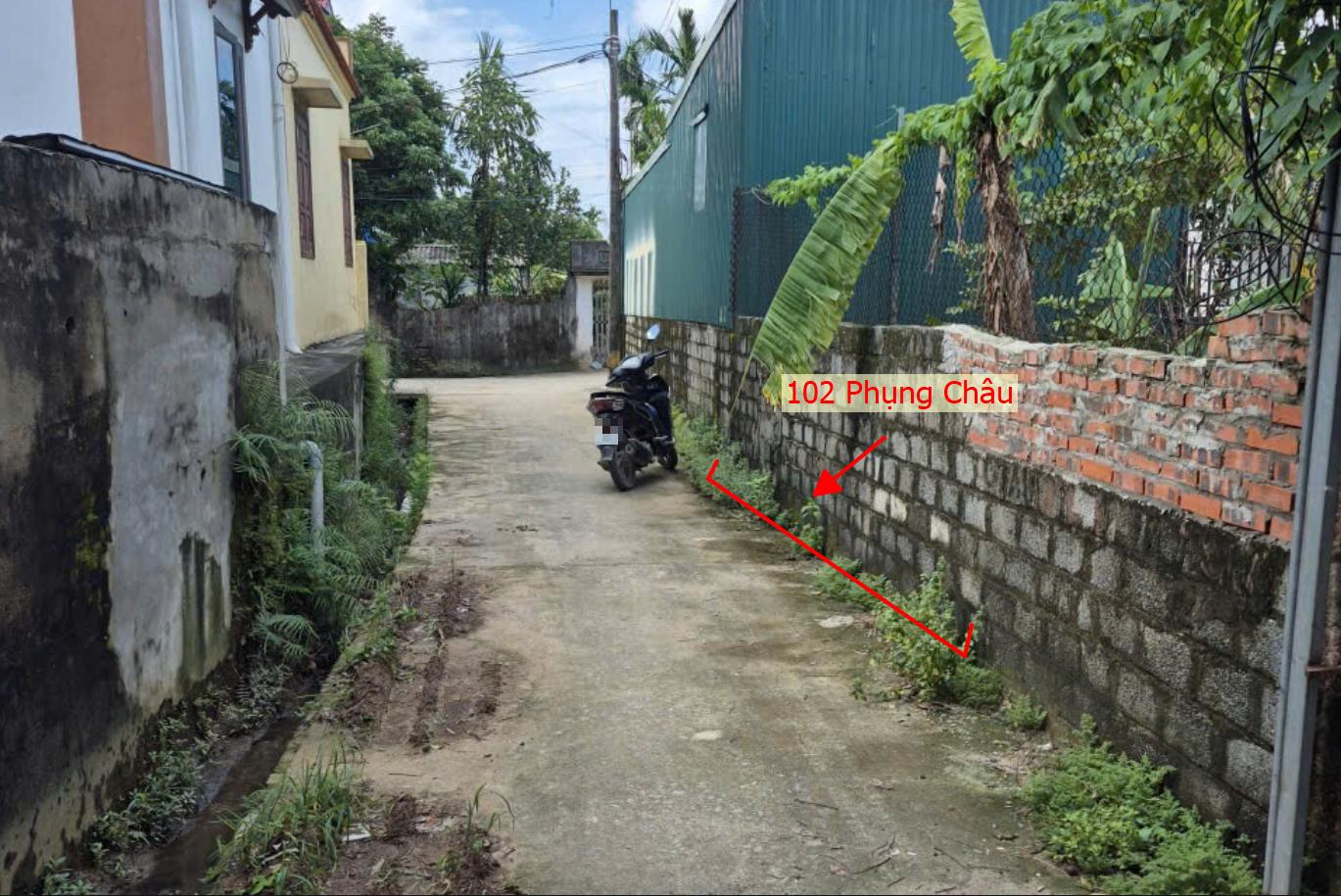 Hình ảnh Bất Động Sản Chương Mỹ Bán Đất Khu Vực Phụng Châu Ô Tô Đỗ Tận Đất Sát Trục Kinh Doanh Gần Trường Học Các Cấp