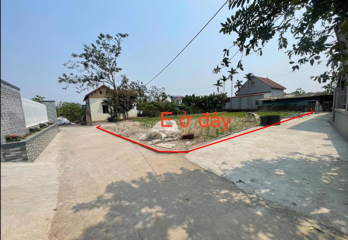 Hình ảnh Bán Lô Đất 484.7m Tại Tân Dân Khoái Châu Bám Đường Bê Tông Ô Tô Vào Tận Đất Dân Cư Đông Đúc Thân Thiện Gần CHợ Trường Học Giá Đầu Tư