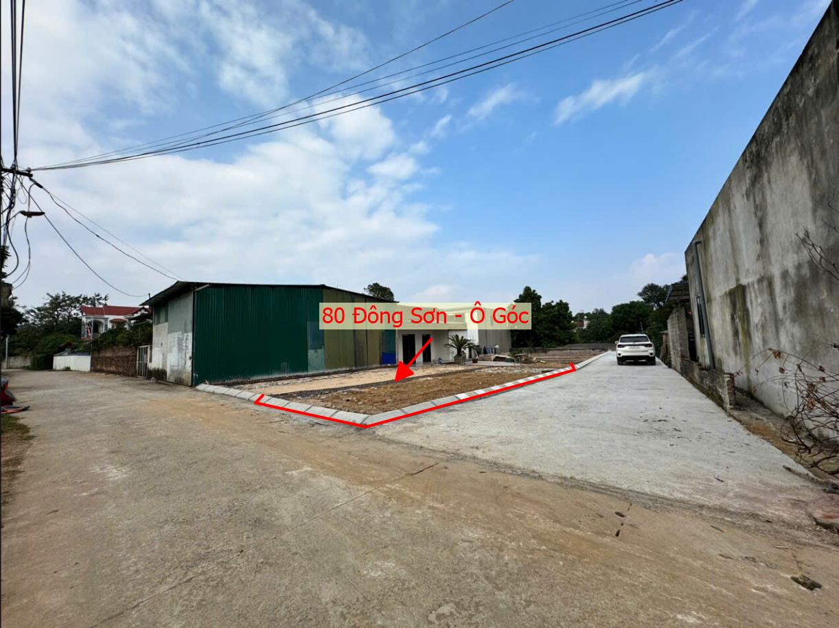 Hình ảnh Đất Phân Lô Quyết Hạ Phú Nghĩa (Đông Sơn Cũ) Ô Tô Đỗ Tận Đất Gần Trục Kinh Doanh Giá Đầu Tư