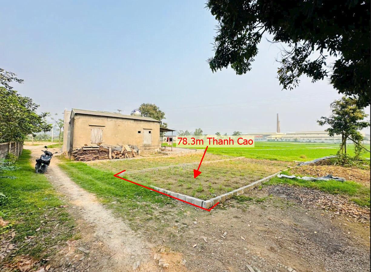 Hình ảnh Bán Lô Đất 78.3m Thanh Cao Lương Sơn Ô Tô Vầo Tận Đất View Cánh Đồng Thoáng Mát Cách Đường HCM 300m Giá Đầu 