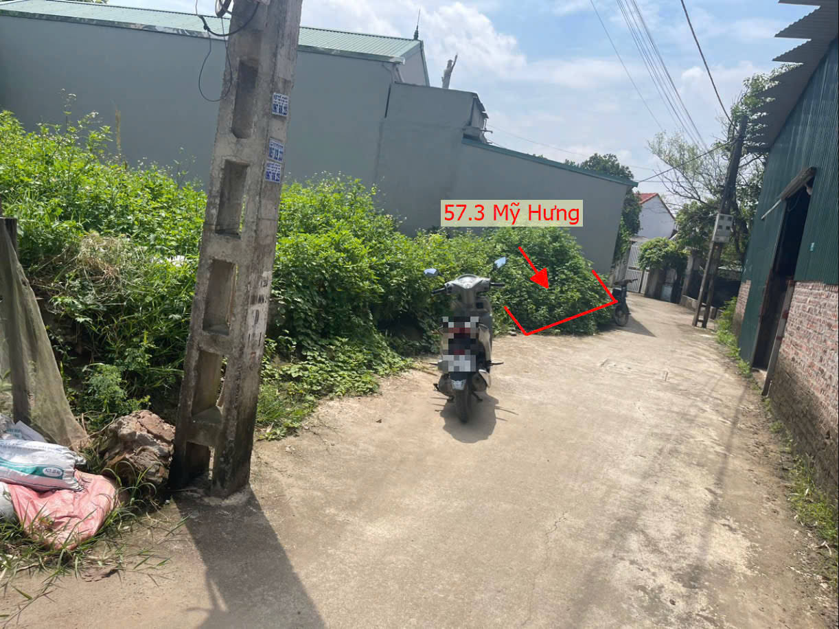 Hình ảnh Bán Đất Mỹ Hưng Ô Tô Vào Tận Đất Gần Trục Kinh Doanh Ngay Trung Tâm Xã Mỹ Hưng 
