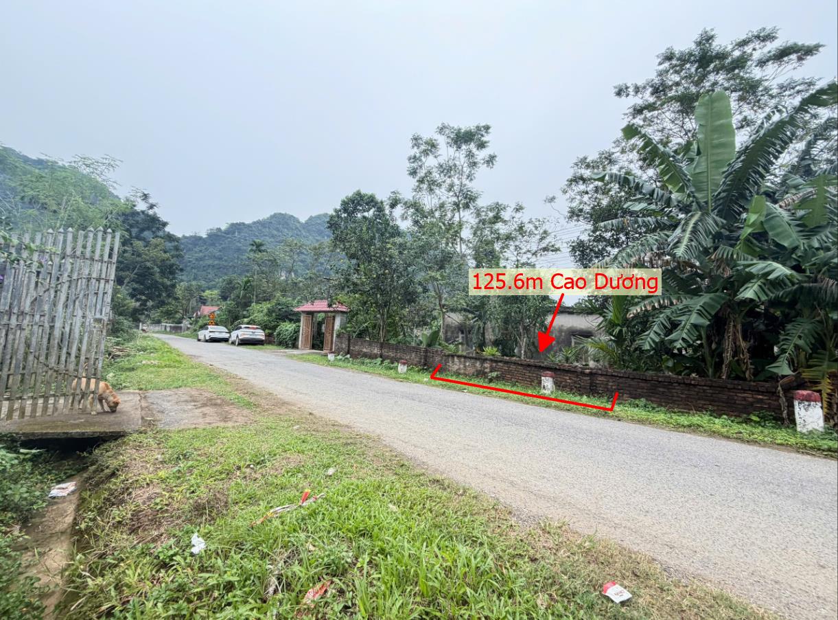 Hình ảnh Bán Lô Đất 125.6m Tại Cao Dương Lương Sơn Bám Đường Liên Xã Dân Cư ĐÔng Đúc Thân Thiện Gần Chợ Trường Học Ủy Ban Giá Đầu Tư