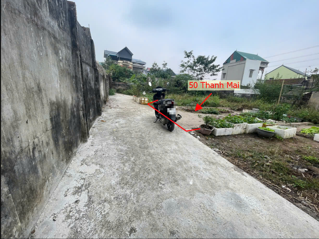 Hình ảnh Bán Đất 2 Mặt Tiền Sát Trục Chính Liên Xã Gần QL21B Tại Thanh Mai Giáp Thị Trấn Kim Bài 