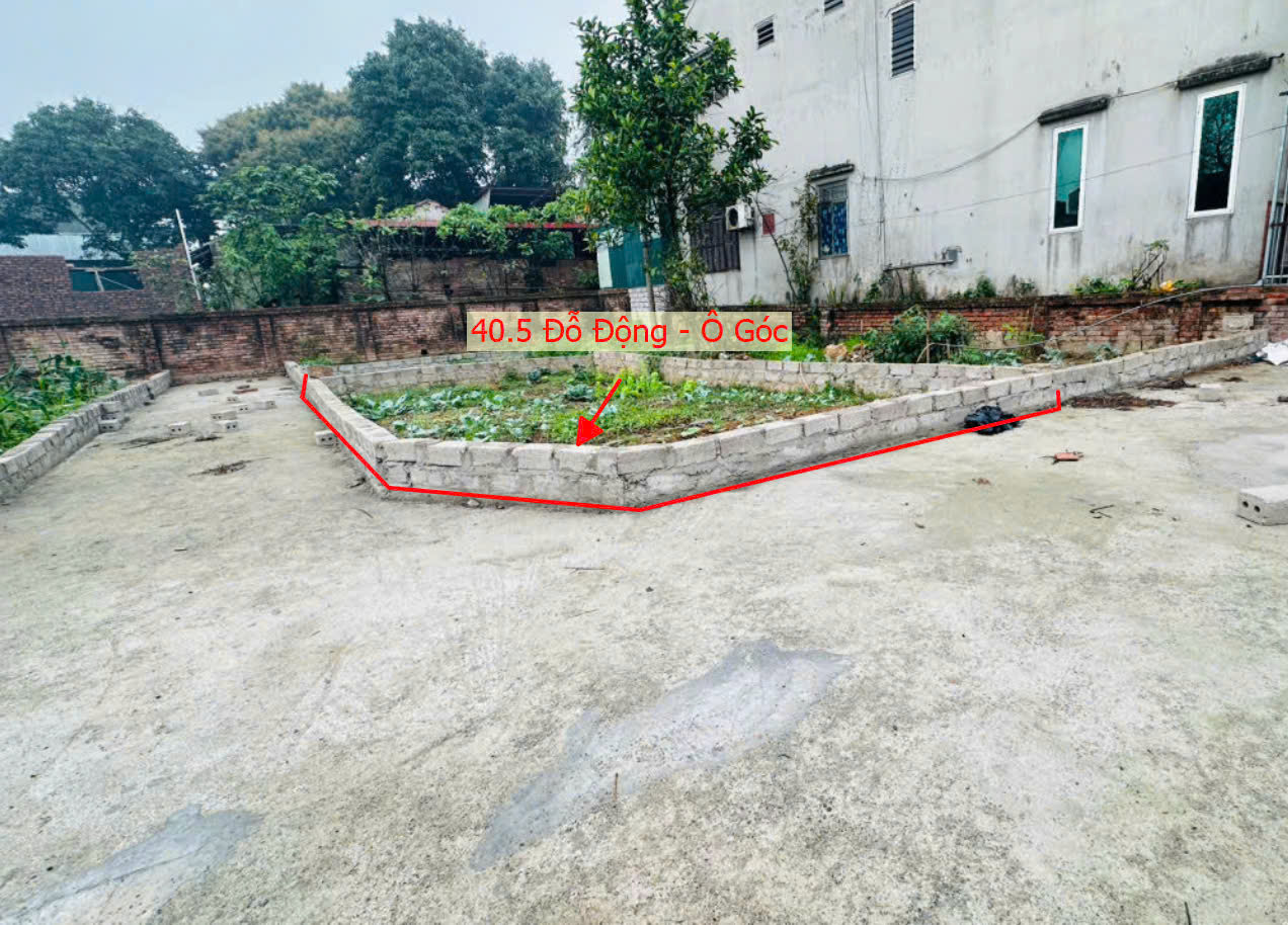 Hình ảnh Bán Lô Góc 2 Mặt Tiền 40.5m Tại Đỗ Động Thanh Oai Sát Trục Chính Liên Xã - Đất Phân Lô Đỗ Động