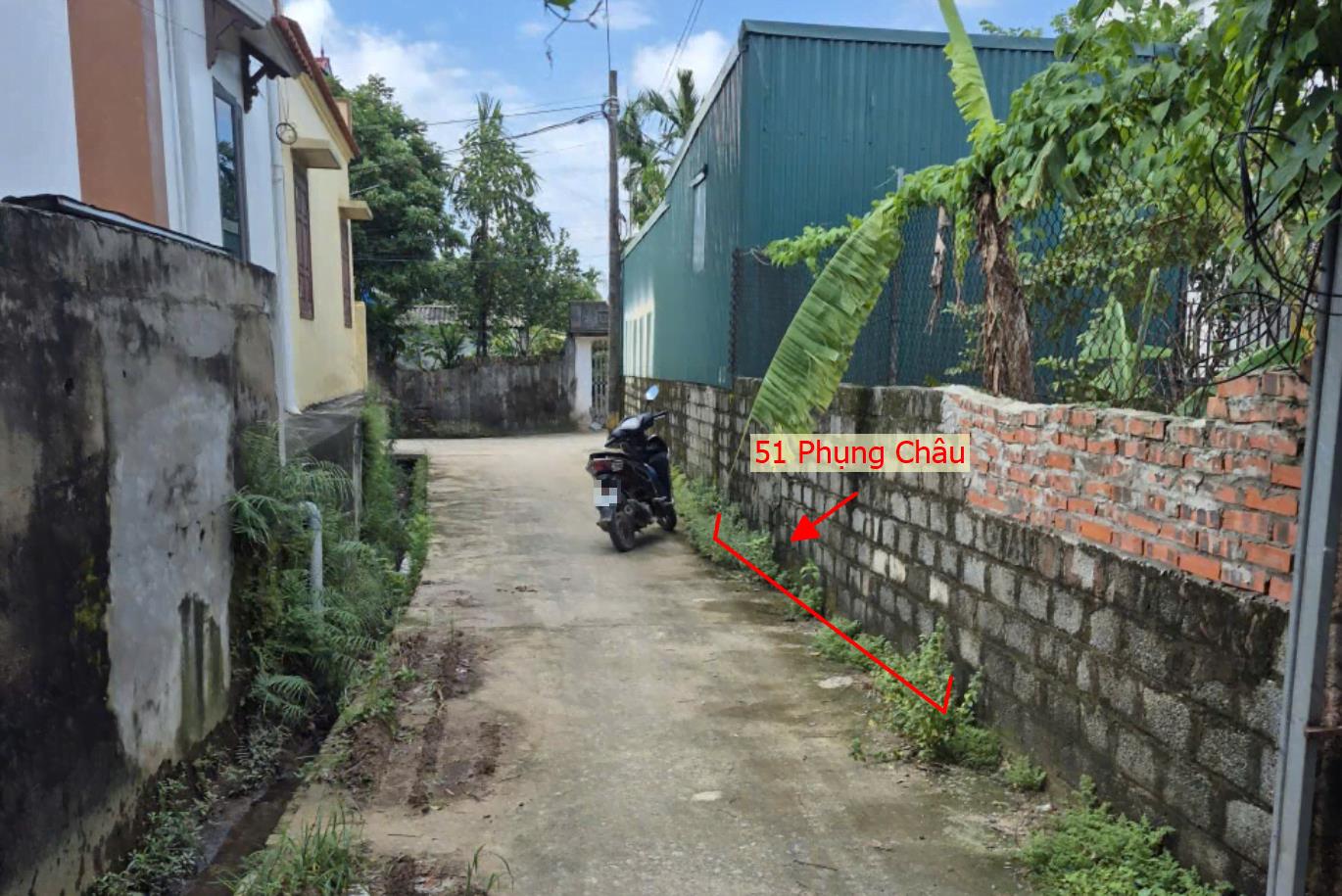 Hình ảnh Bán Thửa Đất 51m Full Thổ Cư Tại Phụng Châu Sát Trục Kinh Doanh Liên Huyện 